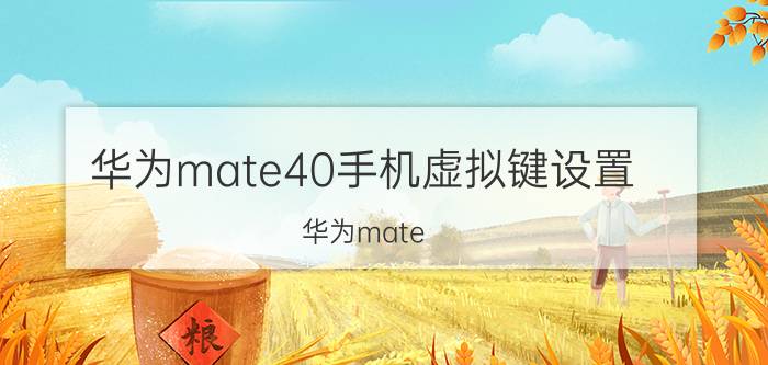 华为mate40手机虚拟键设置 华为mate 40 pro有虚拟通话吗？